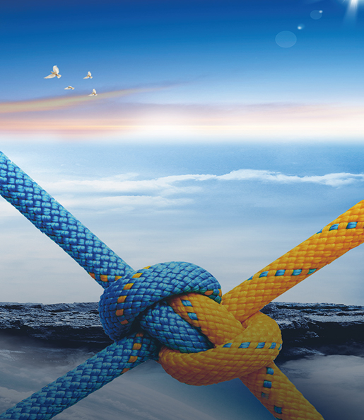 团队建设完美方案