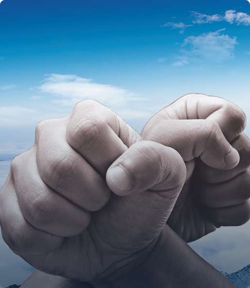 The Foundation Of Quality Enterprises