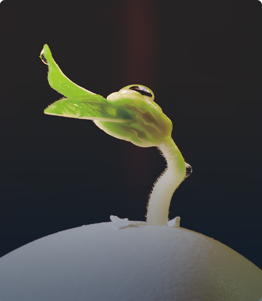 Focus Leads To Professionalism